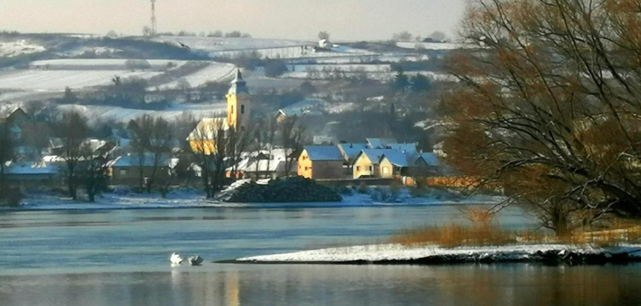 Danube Fairy Villa Futog Dış mekan fotoğraf