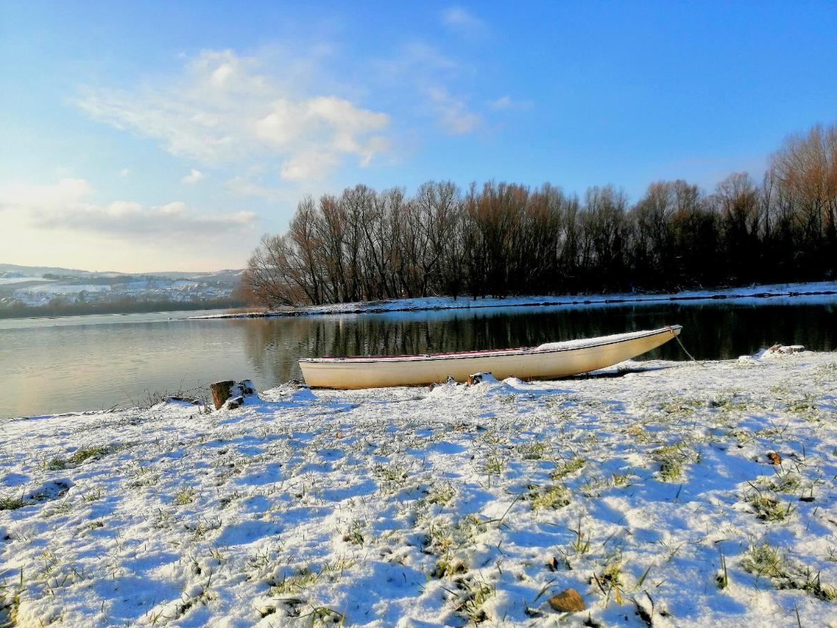 Danube Fairy Villa Futog Dış mekan fotoğraf