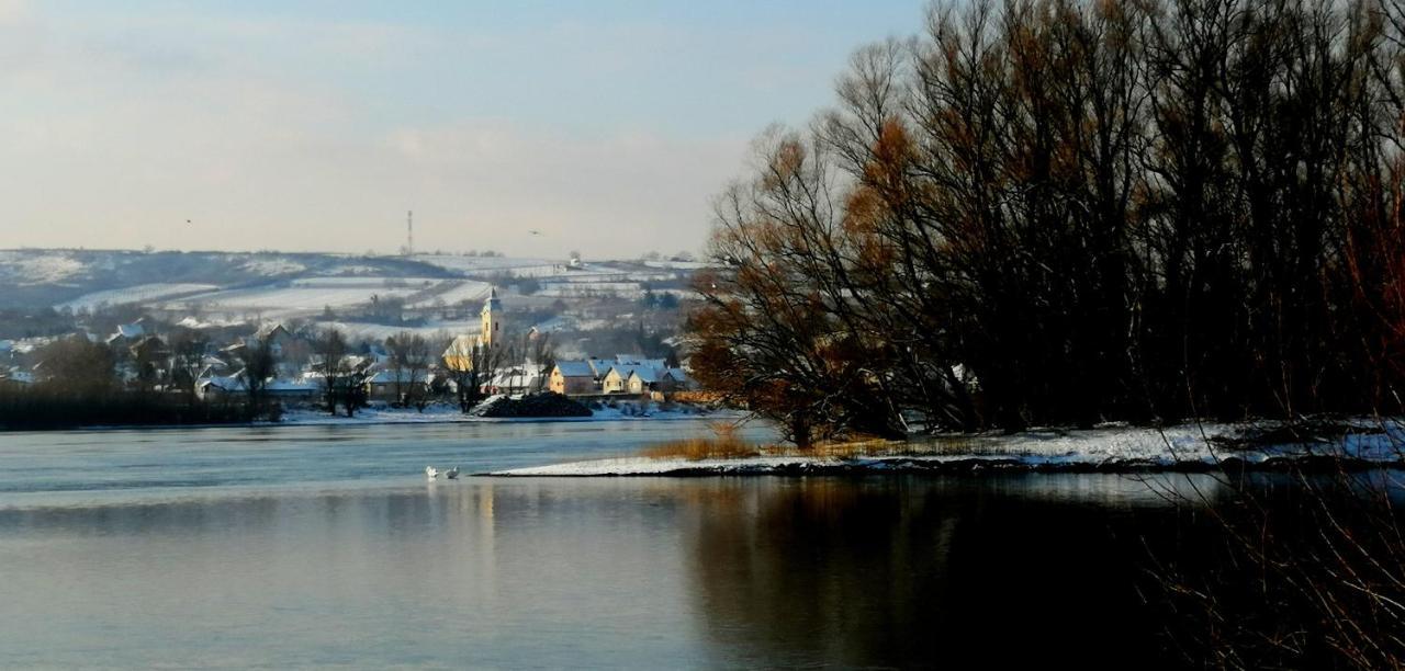 Danube Fairy Villa Futog Dış mekan fotoğraf