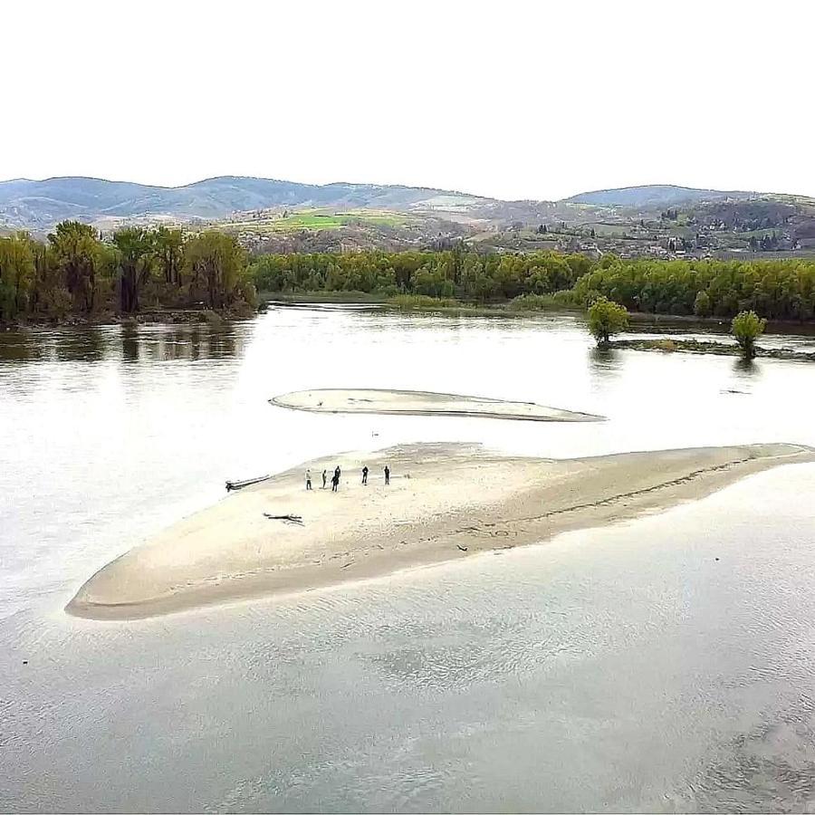 Danube Fairy Villa Futog Dış mekan fotoğraf