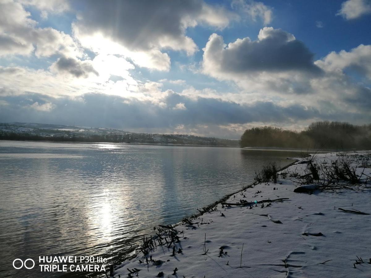 Danube Fairy Villa Futog Dış mekan fotoğraf