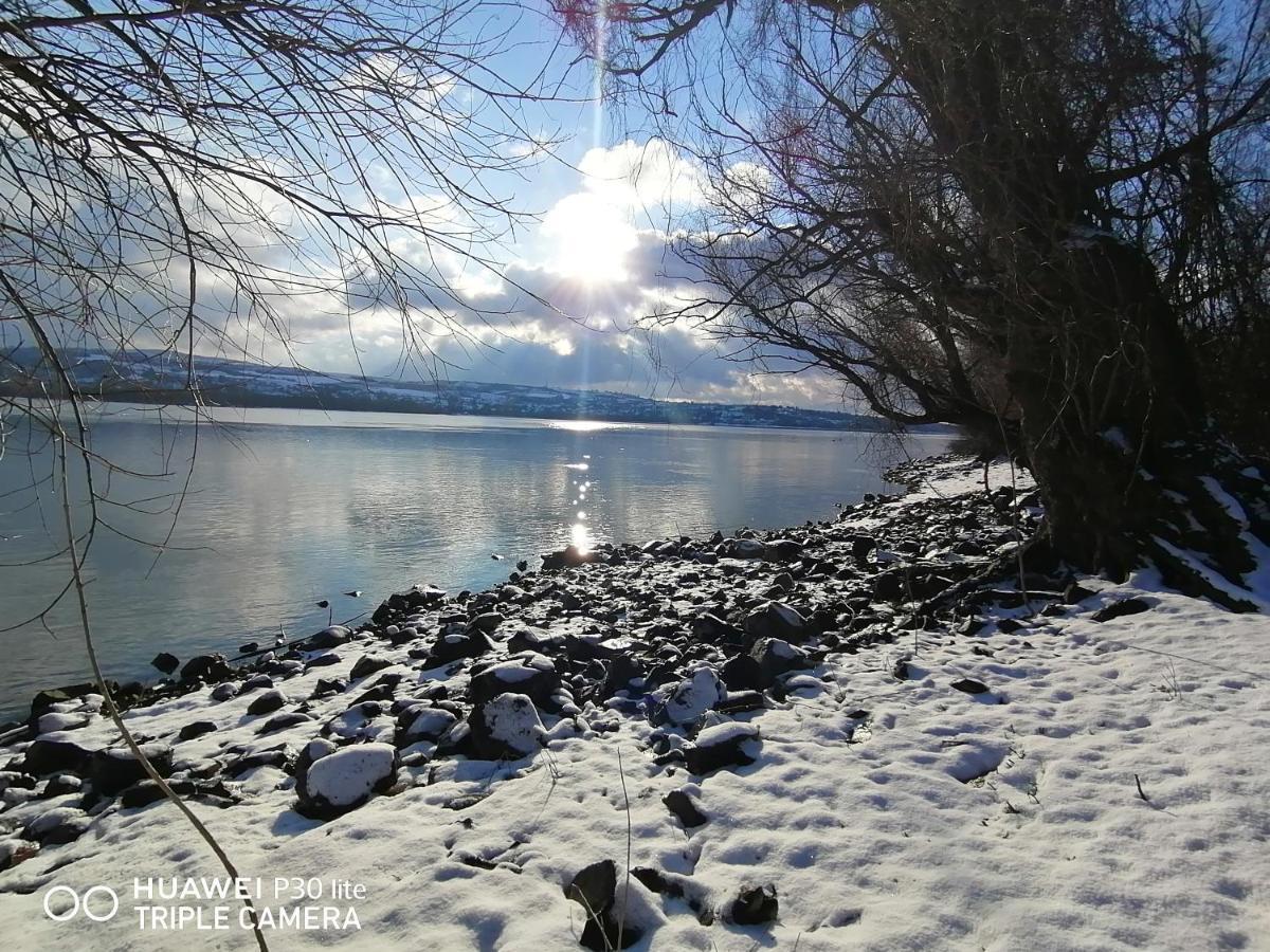 Danube Fairy Villa Futog Dış mekan fotoğraf