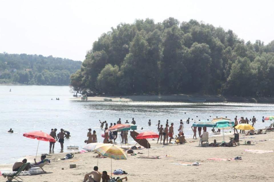 Danube Fairy Villa Futog Dış mekan fotoğraf