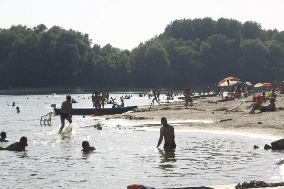 Danube Fairy Villa Futog Dış mekan fotoğraf