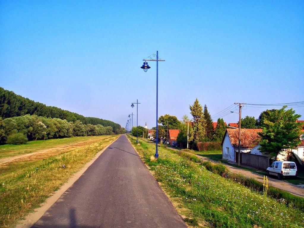 Danube Fairy Villa Futog Dış mekan fotoğraf