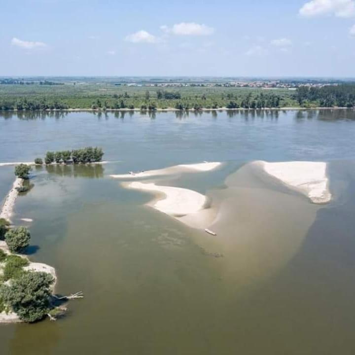 Danube Fairy Villa Futog Dış mekan fotoğraf