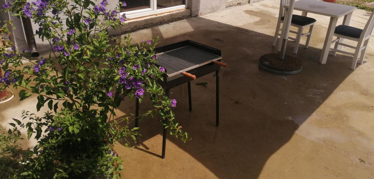 Danube Fairy Villa Futog Dış mekan fotoğraf