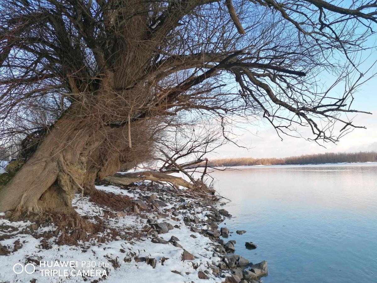 Danube Fairy Villa Futog Dış mekan fotoğraf