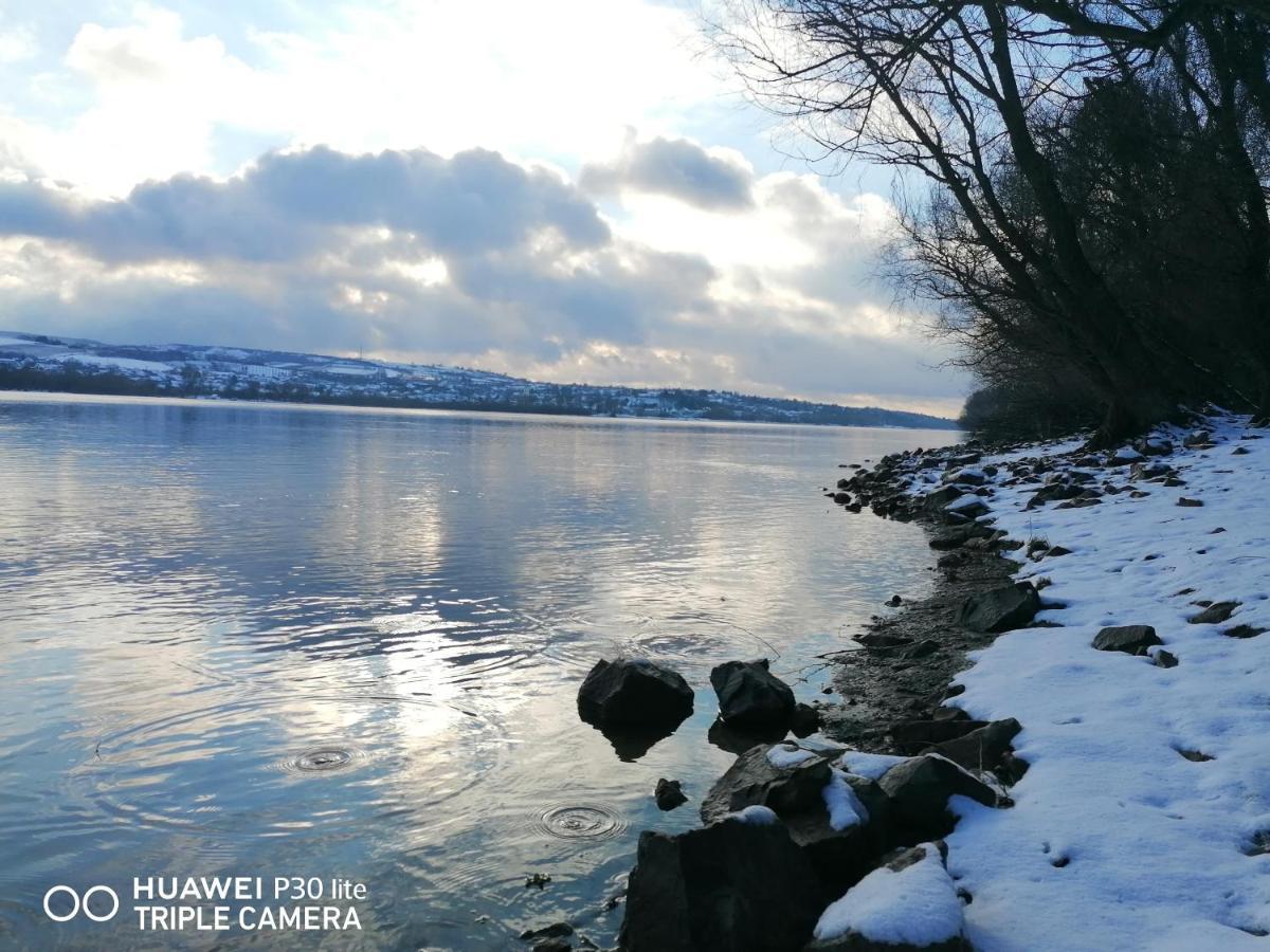 Danube Fairy Villa Futog Dış mekan fotoğraf