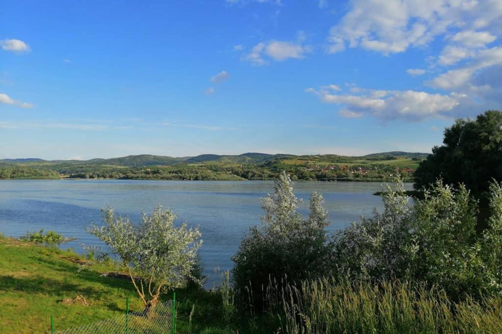 Danube Fairy Villa Futog Dış mekan fotoğraf