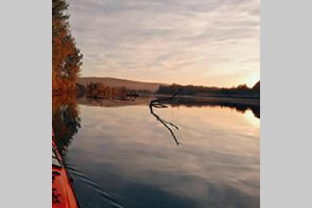 Danube Fairy Villa Futog Dış mekan fotoğraf