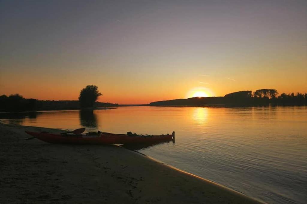 Danube Fairy Villa Futog Dış mekan fotoğraf