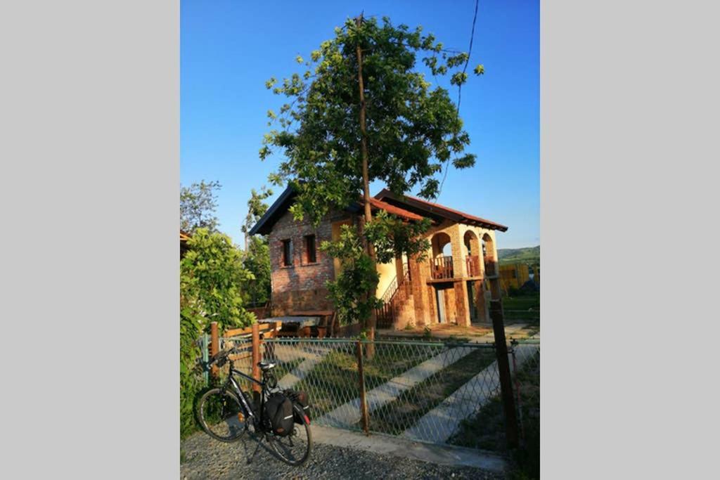 Danube Fairy Villa Futog Dış mekan fotoğraf