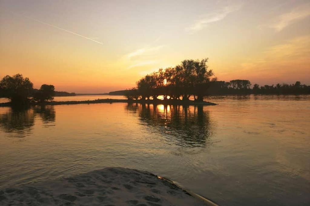 Danube Fairy Villa Futog Dış mekan fotoğraf