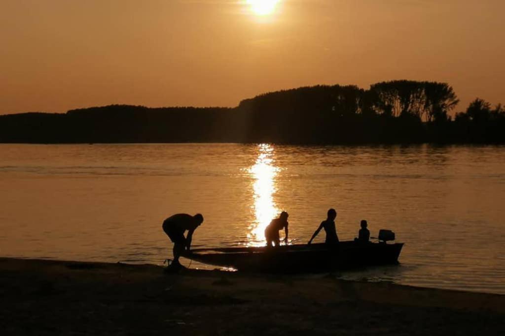 Danube Fairy Villa Futog Dış mekan fotoğraf