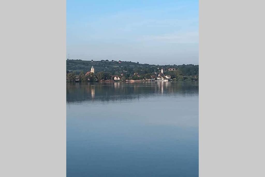 Danube Fairy Villa Futog Dış mekan fotoğraf
