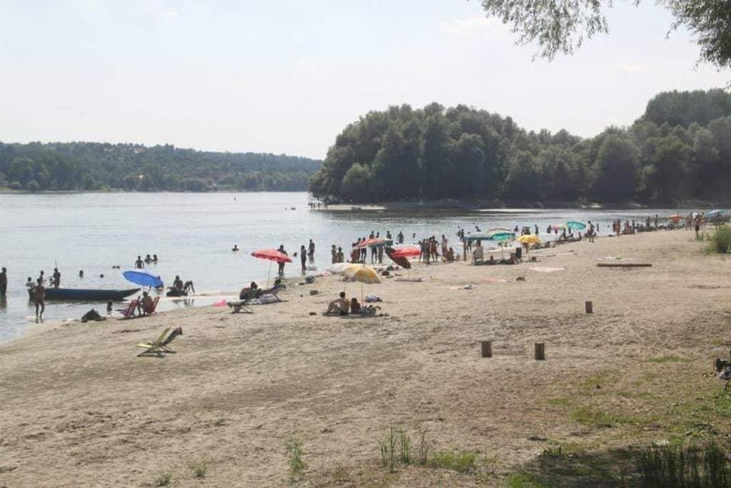 Danube Fairy Villa Futog Dış mekan fotoğraf